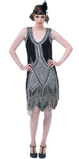 20s Glamour 3 Flapper Fringe Dress