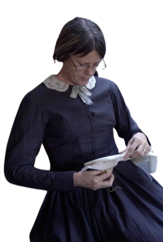 Victorian Day Dress